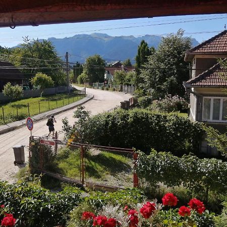 Vila Ovi Otel Bran  Dış mekan fotoğraf