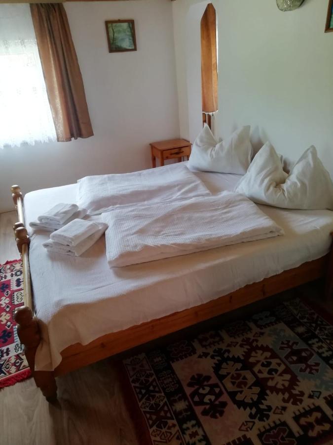 Vila Ovi Otel Bran  Dış mekan fotoğraf